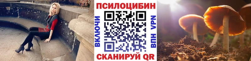 даркнет сайт  мега зеркало  Галлюциногенные грибы мухоморы  Цоци-Юрт 