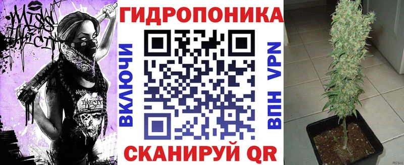 кракен сайт  Цоци-Юрт  Марихуана гибрид  наркота 